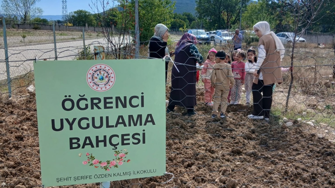 Yaşam Becerileri Ekim Ayı Etkinliklerimiz Başladı